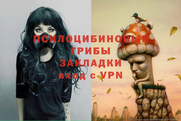 а пвп мука Алзамай