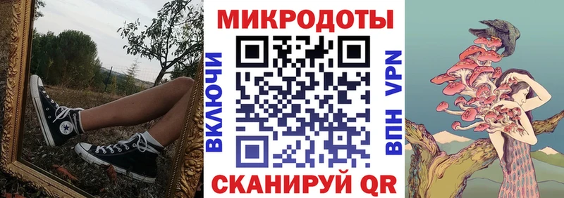 Псилоцибиновые грибы Psilocybine cubensis  Переславль-Залесский 