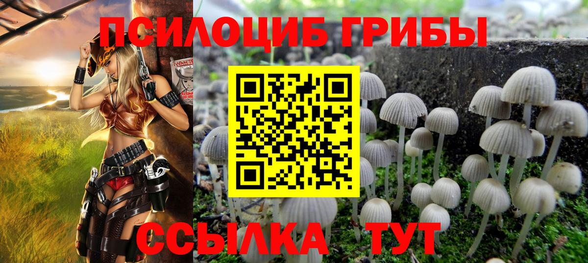 Галлюциногенные грибы ЛСД Переславль-Залесский
