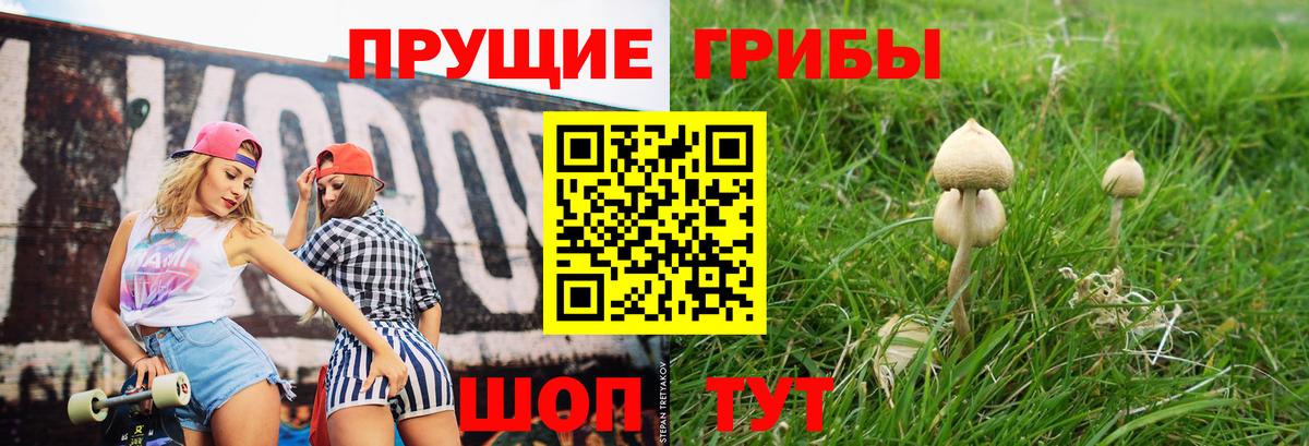 Переславль-Залесский  Псилоцибиновые грибы Psilocybine cubensis  Вход с VPN 